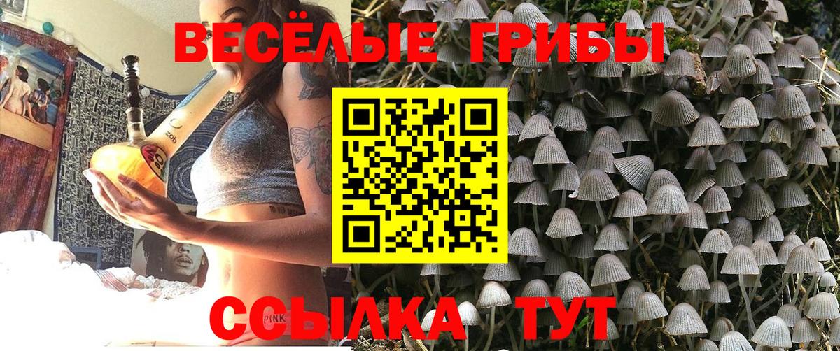 Псилоцибиновые грибы MAGIC MUSHROOMS  Вход с VPN  Набережные Челны  Псилоцибиновые грибы Psilocybe 